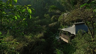 capella ubud rainforest tent